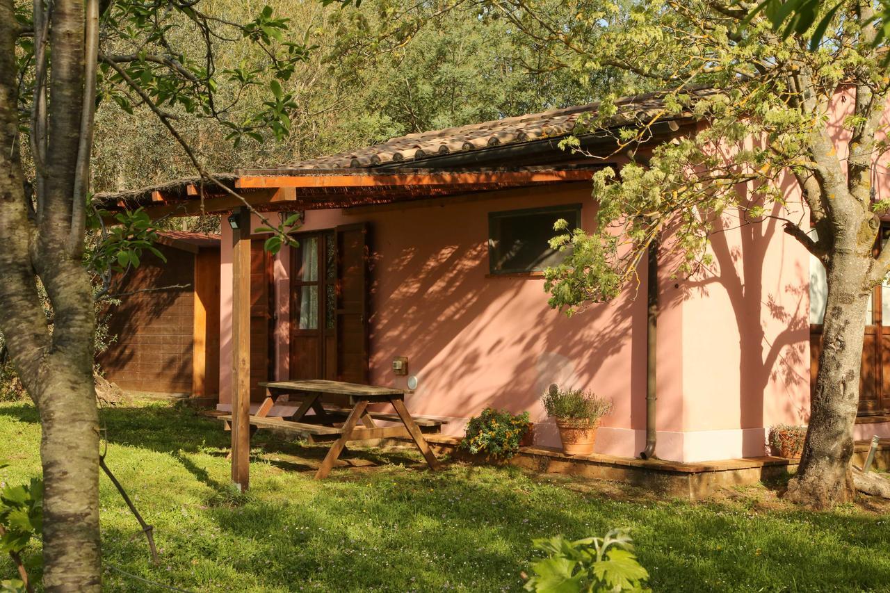 Pensjonat Casale Vigna Carbona Gavorrano Zewnętrze zdjęcie