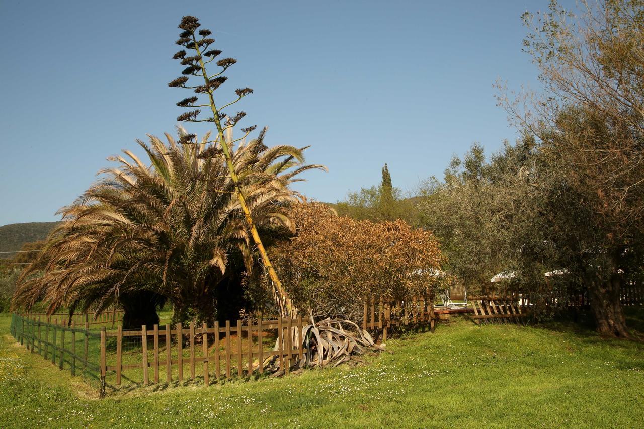 Pensjonat Casale Vigna Carbona Gavorrano Zewnętrze zdjęcie